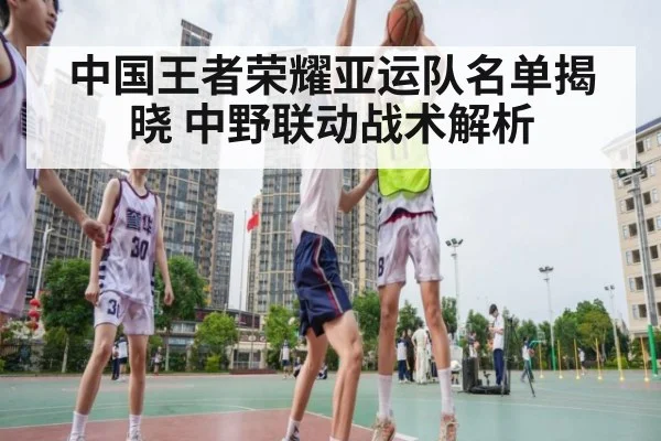中国王者荣耀亚运队名单揭晓 中野联动战术解析